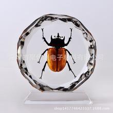 最高法明确！对自动驾驶、辅助驾驶虚假宣传致用户权益受损 厂商、销售方应担责