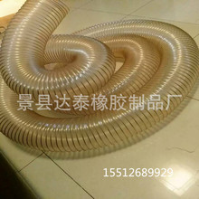SAN值狂掉警告！呆萌小鱼腹部吸盘竟然长着一圈“牙”
